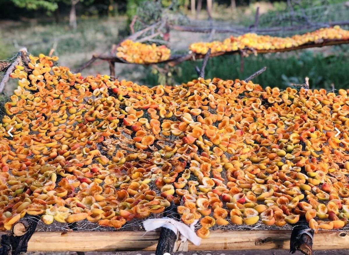 پر قیصی/شیرین/ویژه شب یلدا|خوردنی و آشامیدنی|کرمان, |دیوار