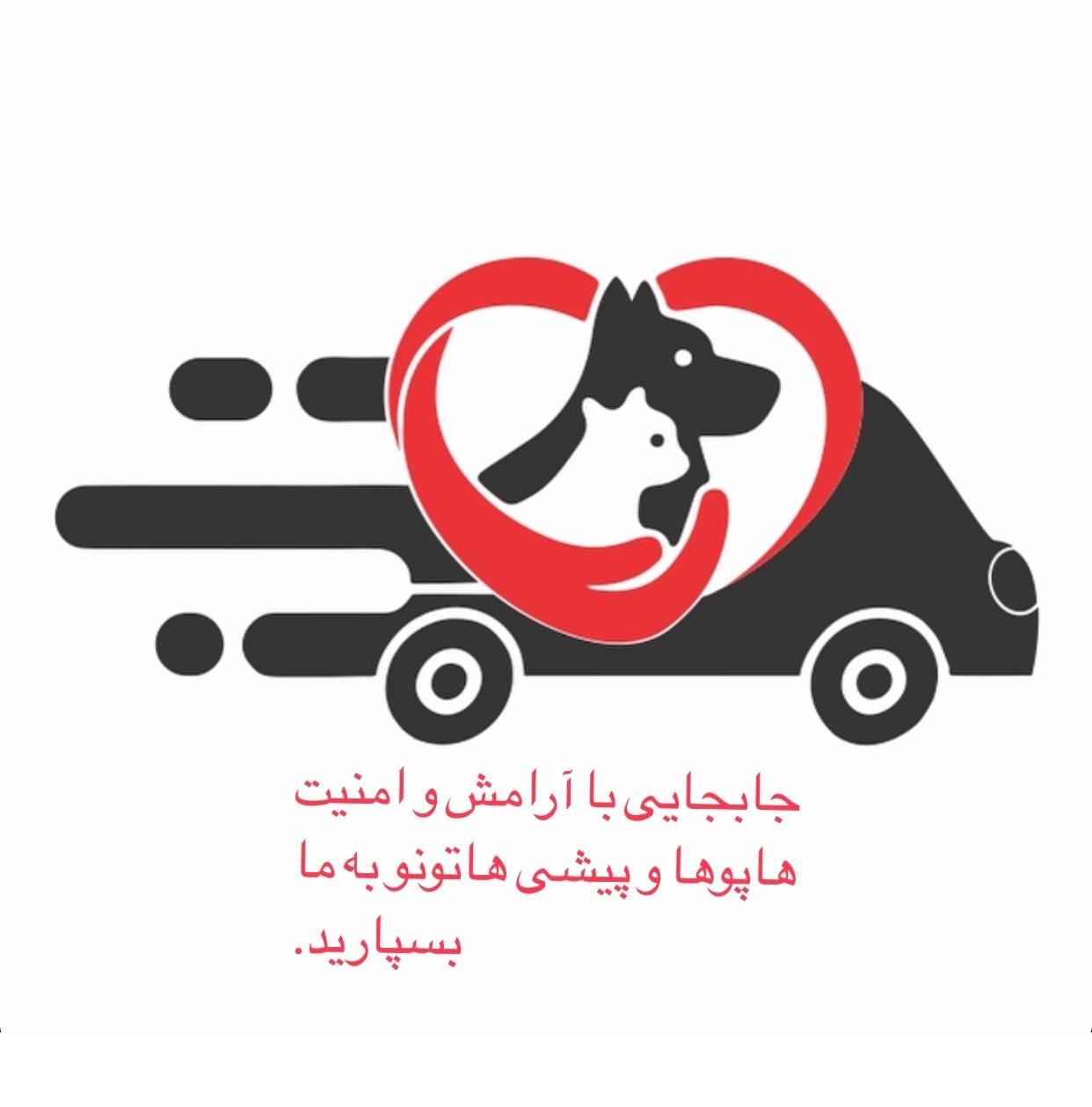 حمل و جابجایی امن و با آرامش حیوان خانگی ' کوچک '|خدمات حمل و نقل|تهران, اوین|دیوار