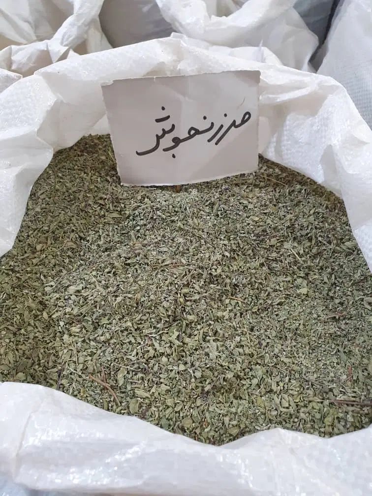 پخش عمده و خرده سبزیجات نعناع وشوید پفکی اعلاوغیره|خوردنی و آشامیدنی|شهریار, شهریار|دیوار