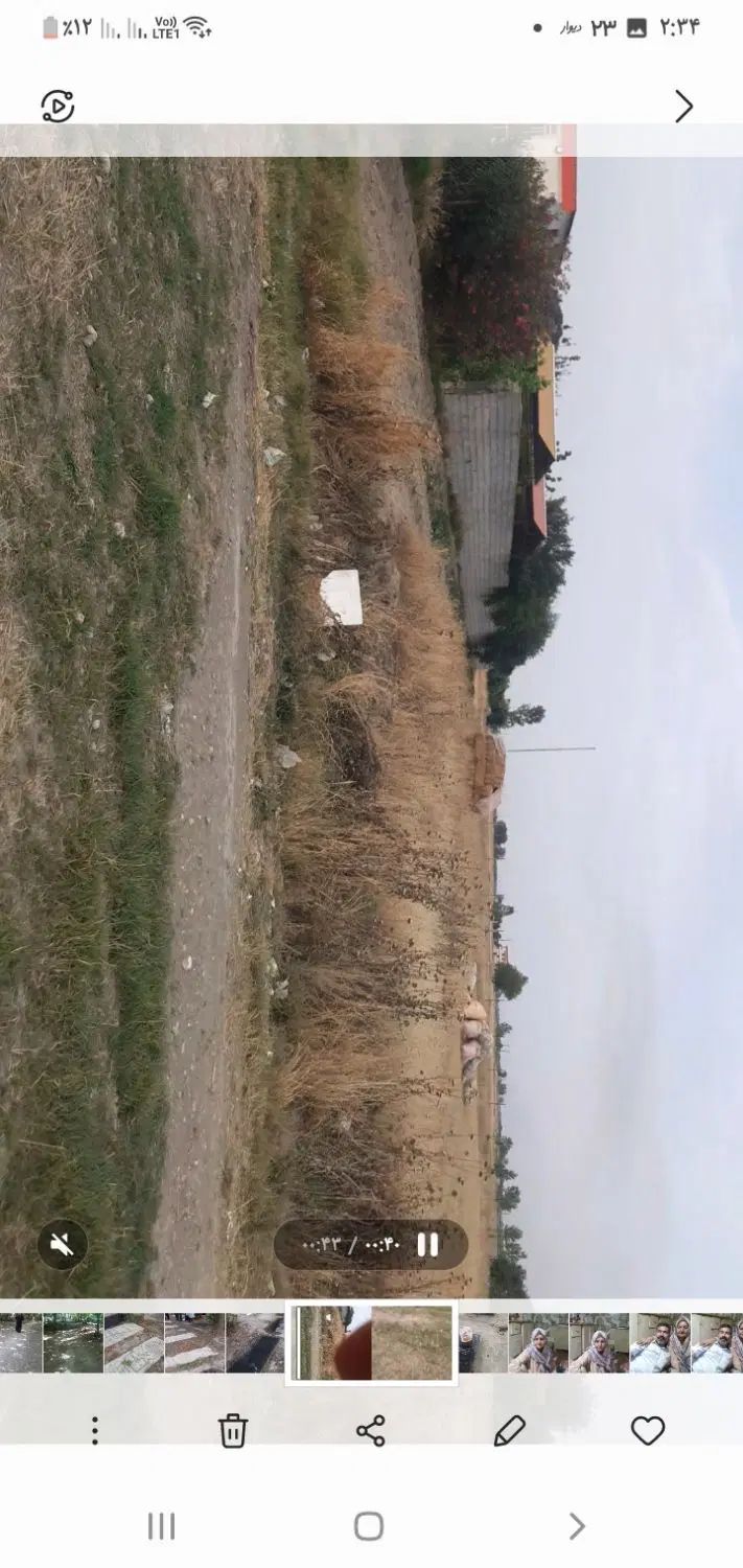 زمین باغی ویا تجاری کار صنعتی بر خیابان اصلی بندر|فروش دفتر صنعتی، کشاورزی، تجاری|کردکوی, |دیوار