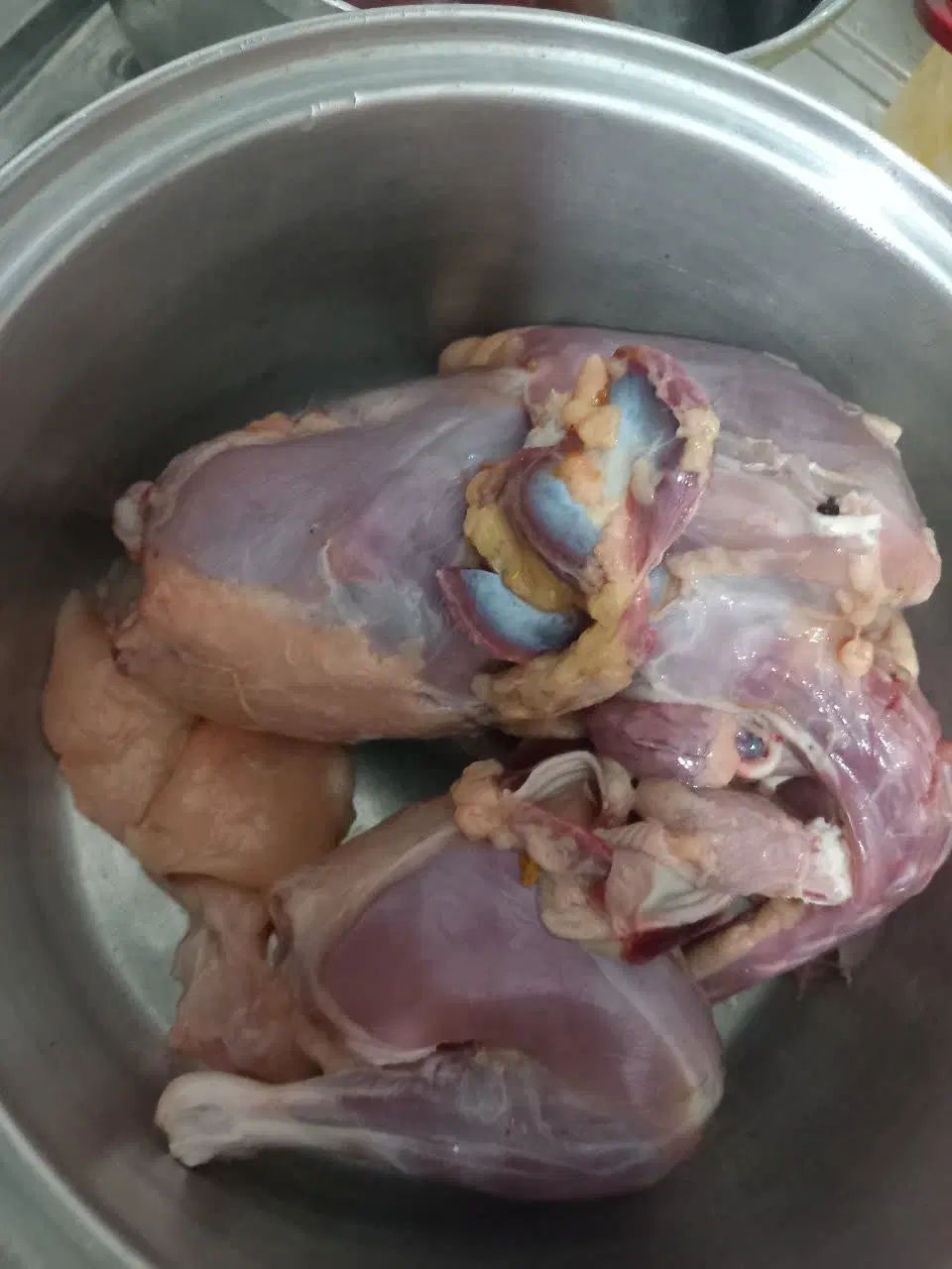 مرغ و خروس رسمی و طبیعی کشته شده و پاک شده|حیوانات مزرعه|اسلام‌شهر, چیچکلو|دیوار