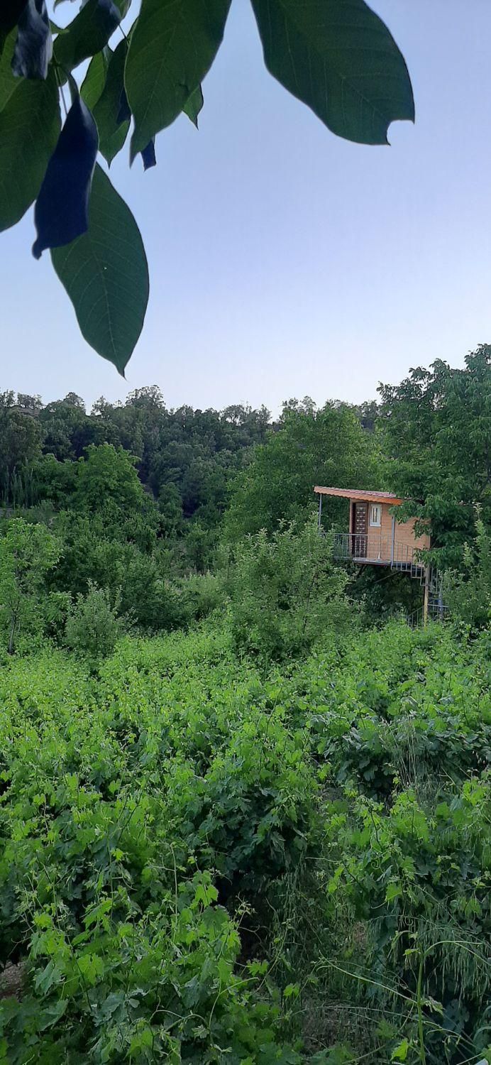 خونه باغ کلبه سویسی ویلا سویت|اجارهٔ کوتاه‌مدت ویلا و باغ|سی‌سخت, |دیوار