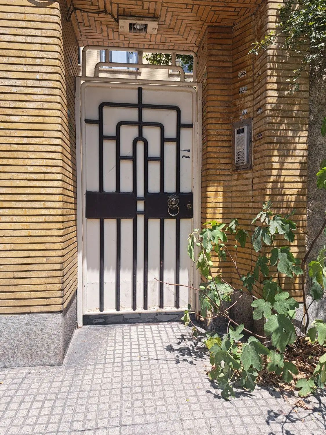 دیباجی ۳۲۰ متر. مناسب ساخت و سکونت.بهترین لوکیشن|فروش زمین و ملک کلنگی|تهران, اختیاریه|دیوار