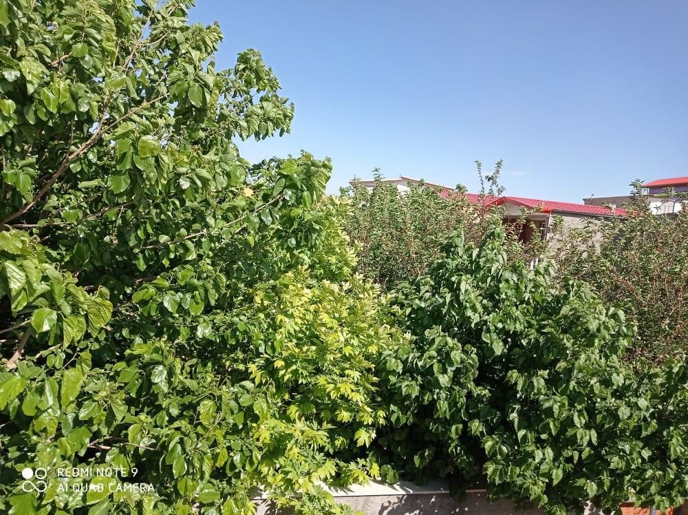 زمین داخل بافت ۵۶۰متر۴دیواری دولت اباد|فروش خانه و ویلا|تنکمان, |دیوار