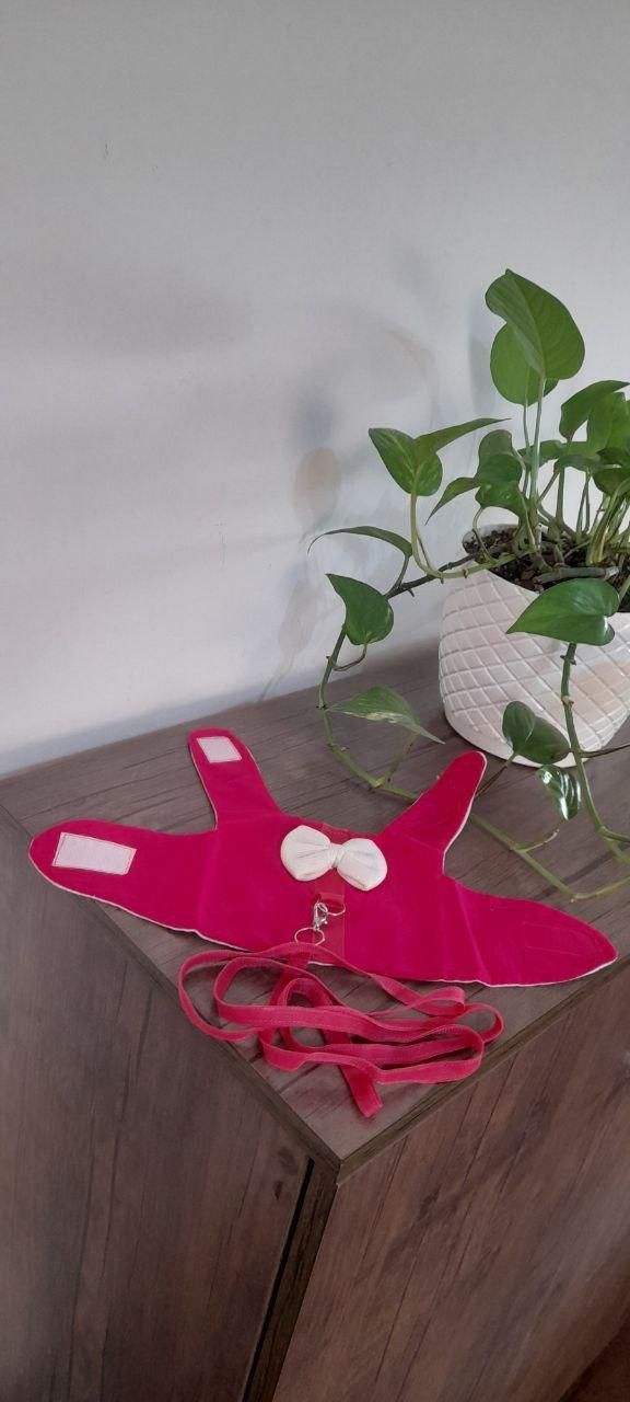 جلیقه خرگوش|لوازم جانبی حیوانات|رشت, انصاری|دیوار