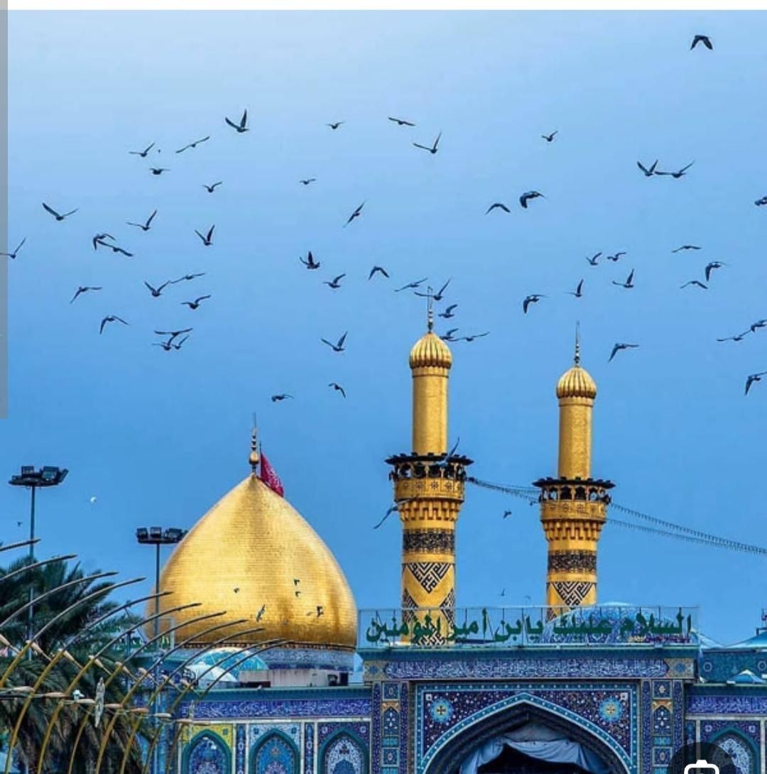 کاروان کربلا و تور مشهد همه روزه|تور و چارتر|زنجان, |دیوار