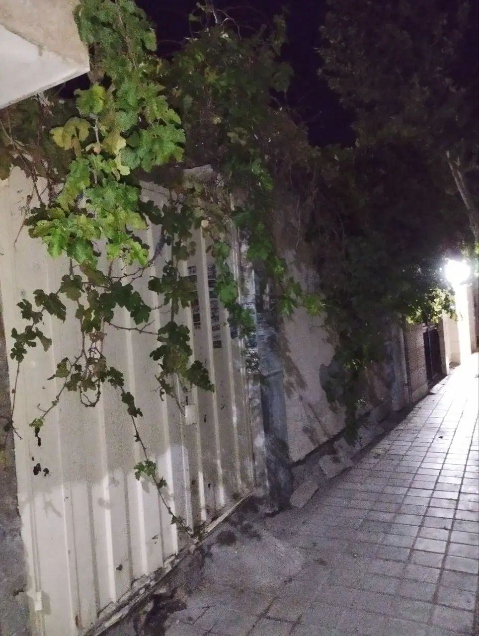 رهن اجاره خونه مسکونی|اجارهٔ خانه و ویلا|مشهد, نیزه|دیوار