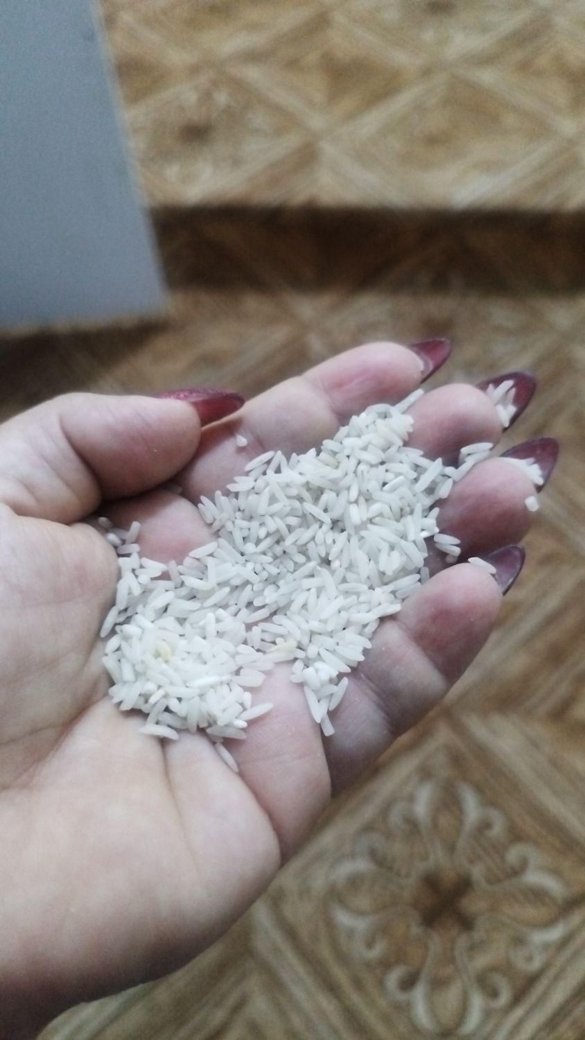 برنج ایرانی عنبربو وچمپا و کامفیروز تکی و عمده|خوردنی و آشامیدنی|بندر گناوه, |دیوار