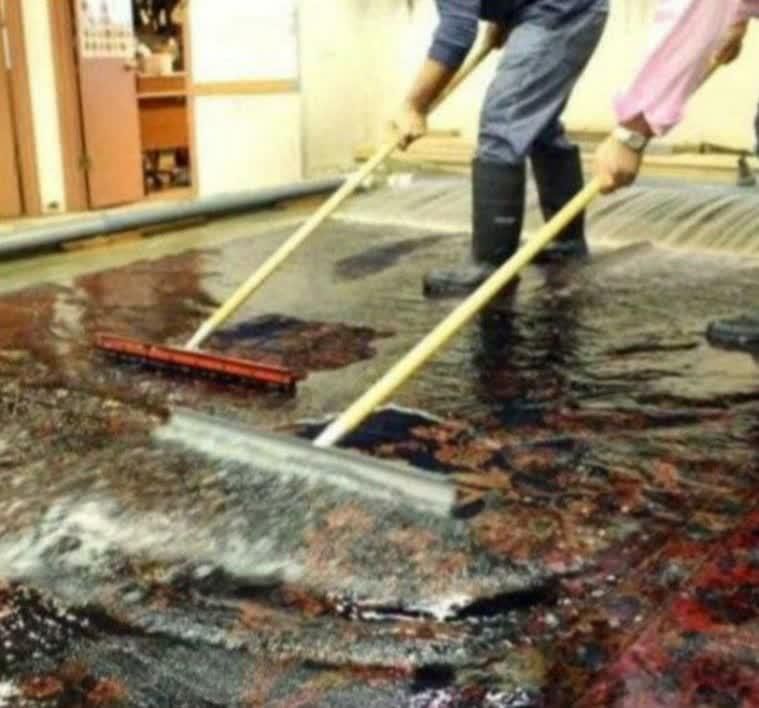 قالیشویی تاج شستشوی متفاوت کل شهر|خدمات نظافت|قم, باجک دو|دیوار