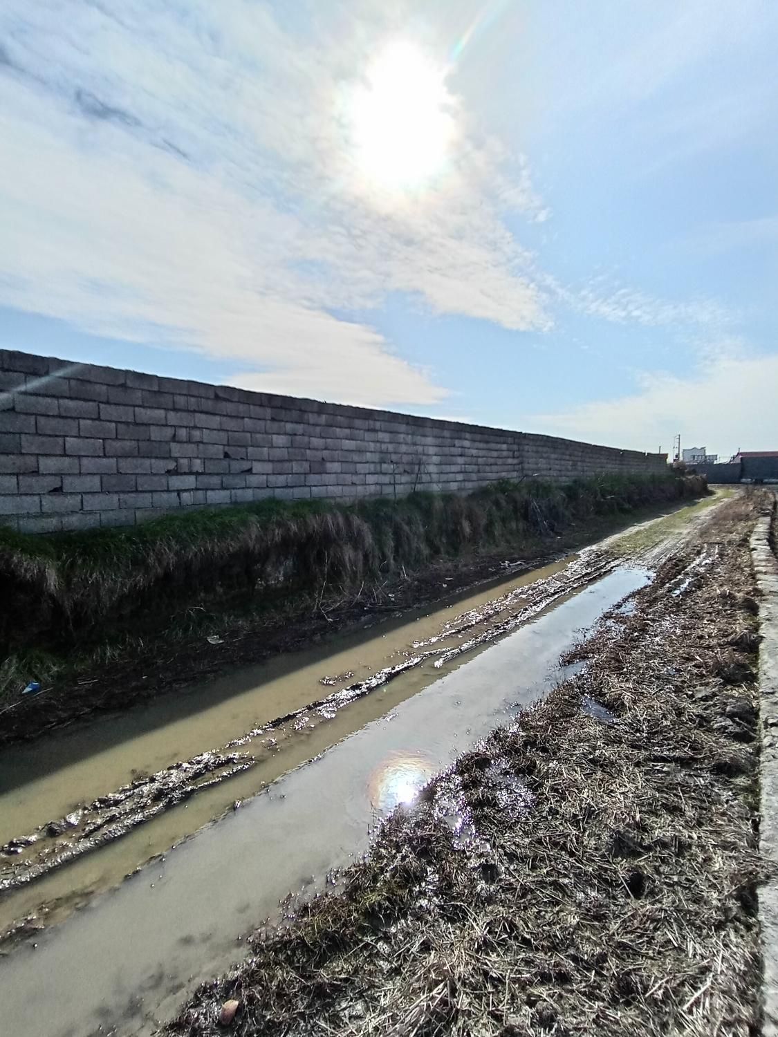 ۶۳۰۰ زمین کشاورزی زیر قیمت نزدیک میدان هزار سنگر|فروش دفتر صنعتی، کشاورزی، تجاری|آمل, |دیوار