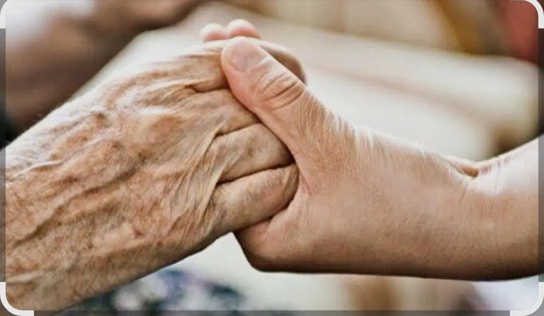 پرستار خانوم جهت سالمند خانوم آلزایمری آرام|استخدام درمانی، زیبایی، بهداشتی|مشهد, دانشجو|دیوار
