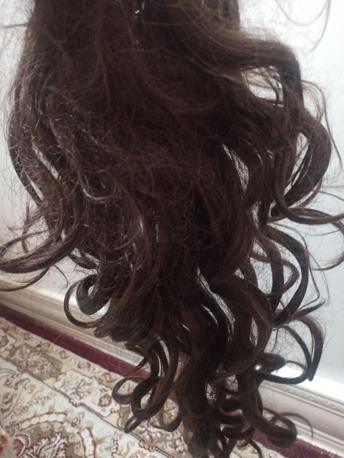 موی مصنوعی|آرایشی، بهداشتی، درمانی|زابل, |دیوار