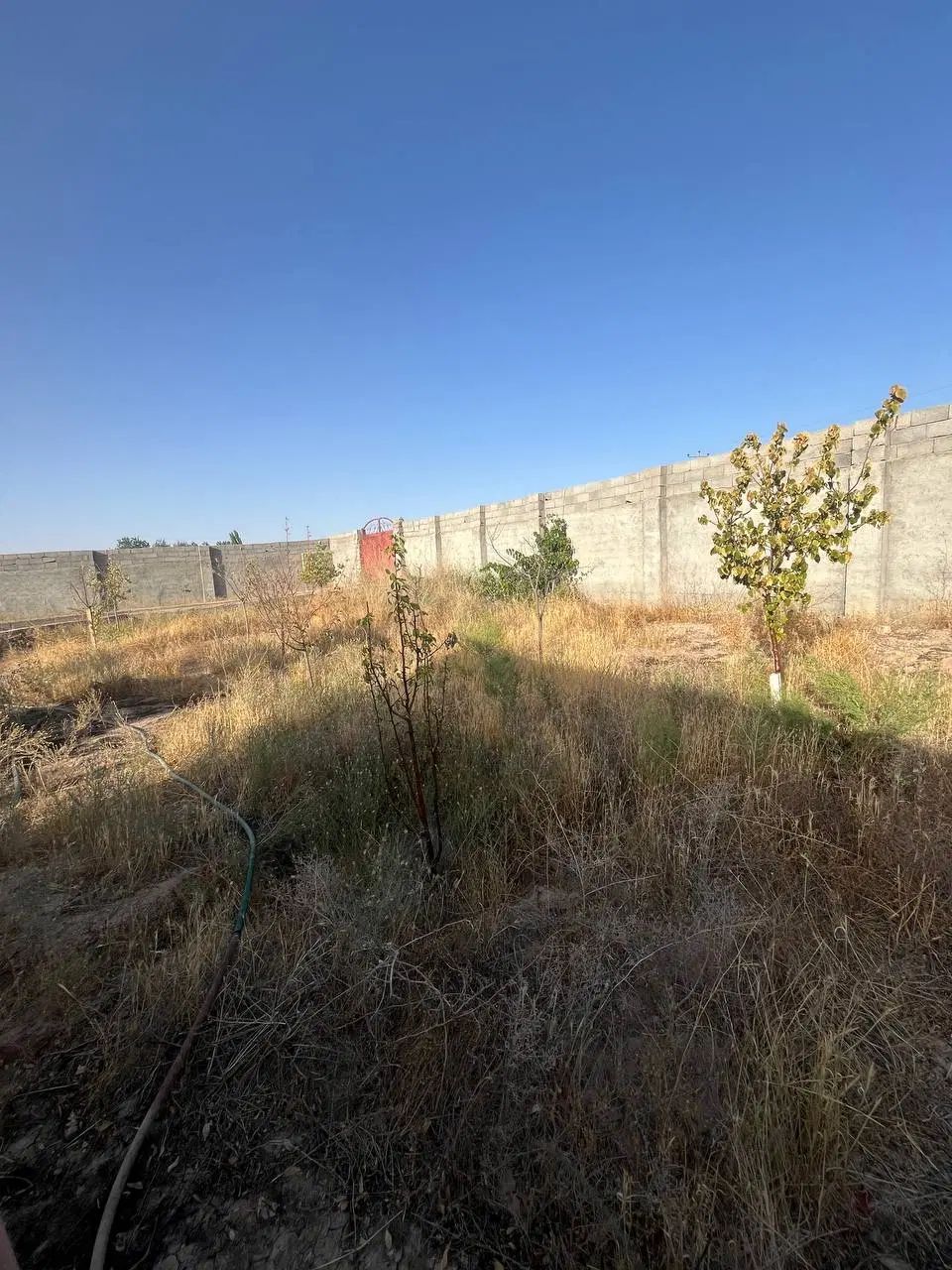 زمین ۷۵۰ متری،در روستای لک لک کوچه مرغداری|فروش زمین و ملک کلنگی|مشهد, سپاد|دیوار