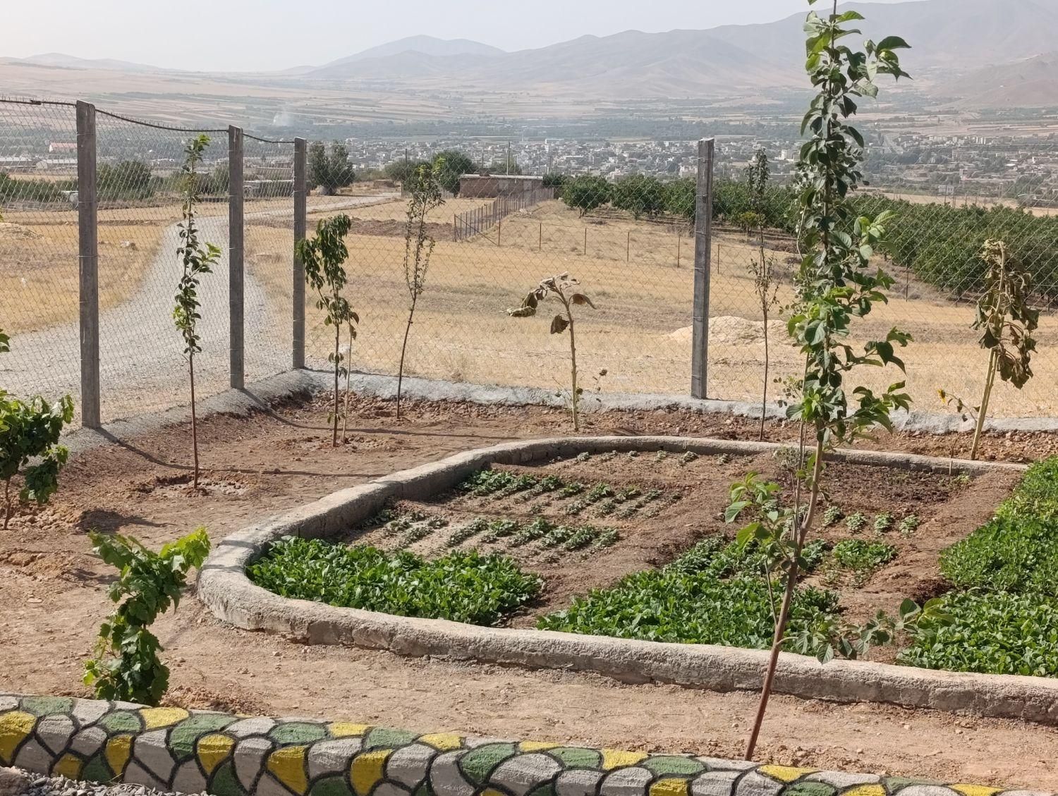 زمین باغی با نونهال ولوله کشی آب تاسرزمین،آستانه|فروش زمین و ملک کلنگی|اراک, |دیوار