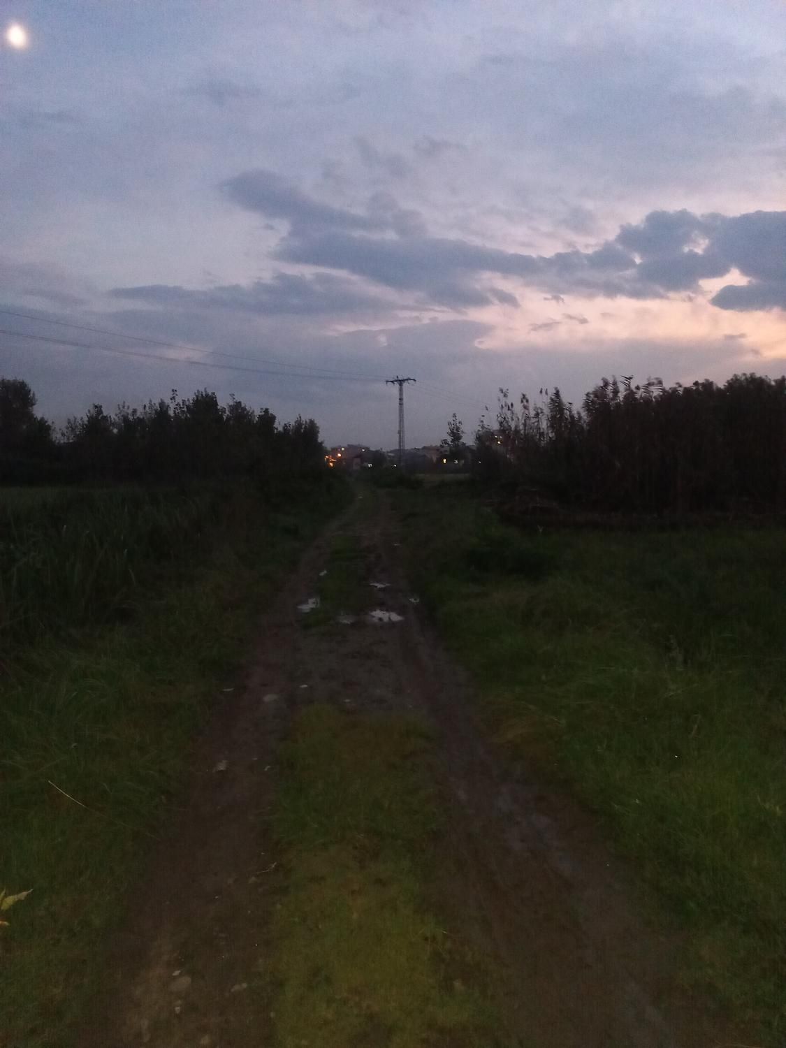 فروش شالیزار 900 متری عینک|فروش زمین و ملک کلنگی|رشت, نخودچر|دیوار