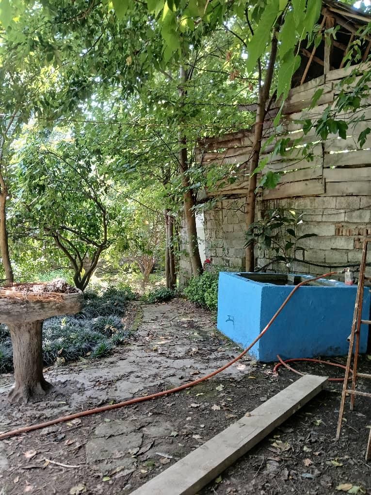 فروش ویلا باغ 1000 متری با باغ مرکبات بینظیر|فروش خانه و ویلا|امامزاده عبدالله, |دیوار