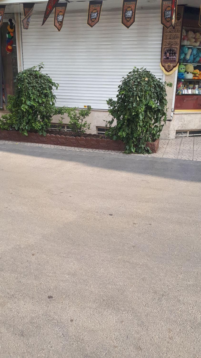 شکوفه/ولیعصر/عارف/۱۵ متر مغازه بر خ اصلی با بالکن|فروش مغازه و غرفه|تهران, مینا|دیوار