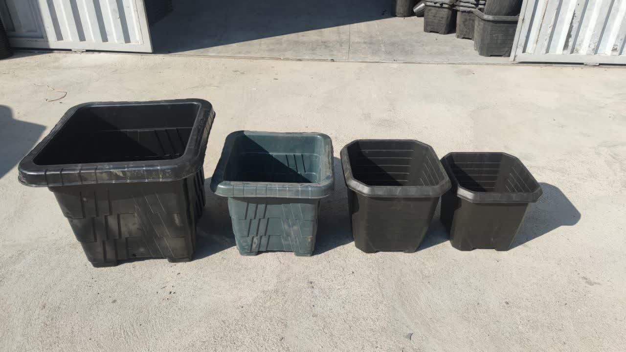 تولیدگلدان پلاستیکی گلخانه‌ای بازیافتی|گل و گیاه طبیعی|تهران, شهرک رضویه|دیوار