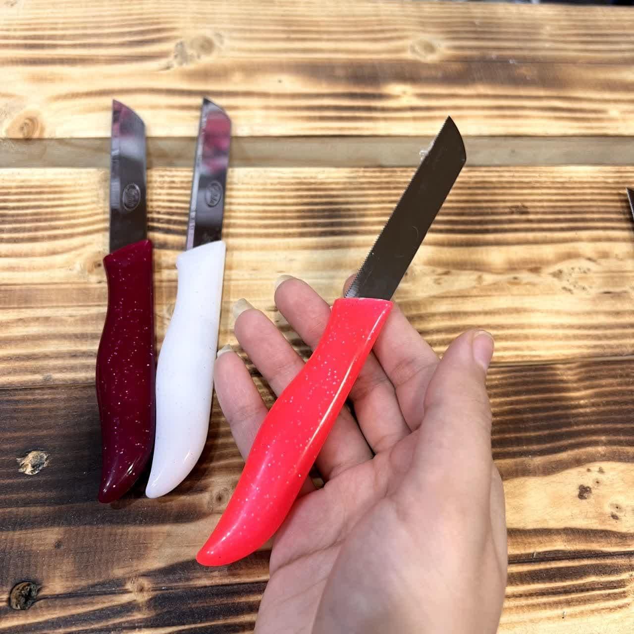 کارد دم دستی اره ای دسته رنگی (اکلیلی) گیلدا|ظروف پخت‌وپز|بندر انزلی, کارآموزی|دیوار