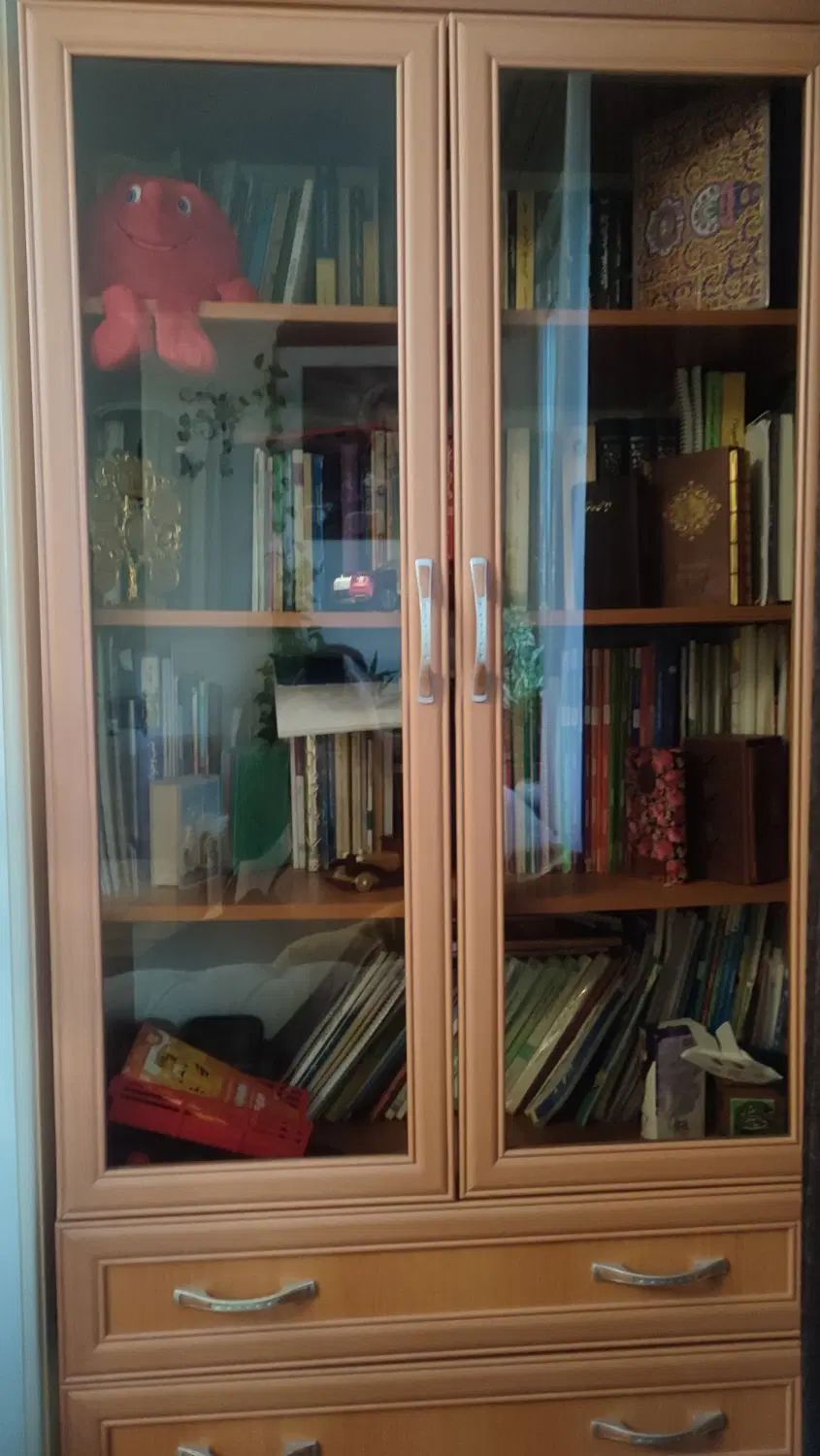 کمد کتابخانه|کتابخانه، شلف، قفسه‌های دیواری|کرج, شهرک خاتم النبیا|دیوار