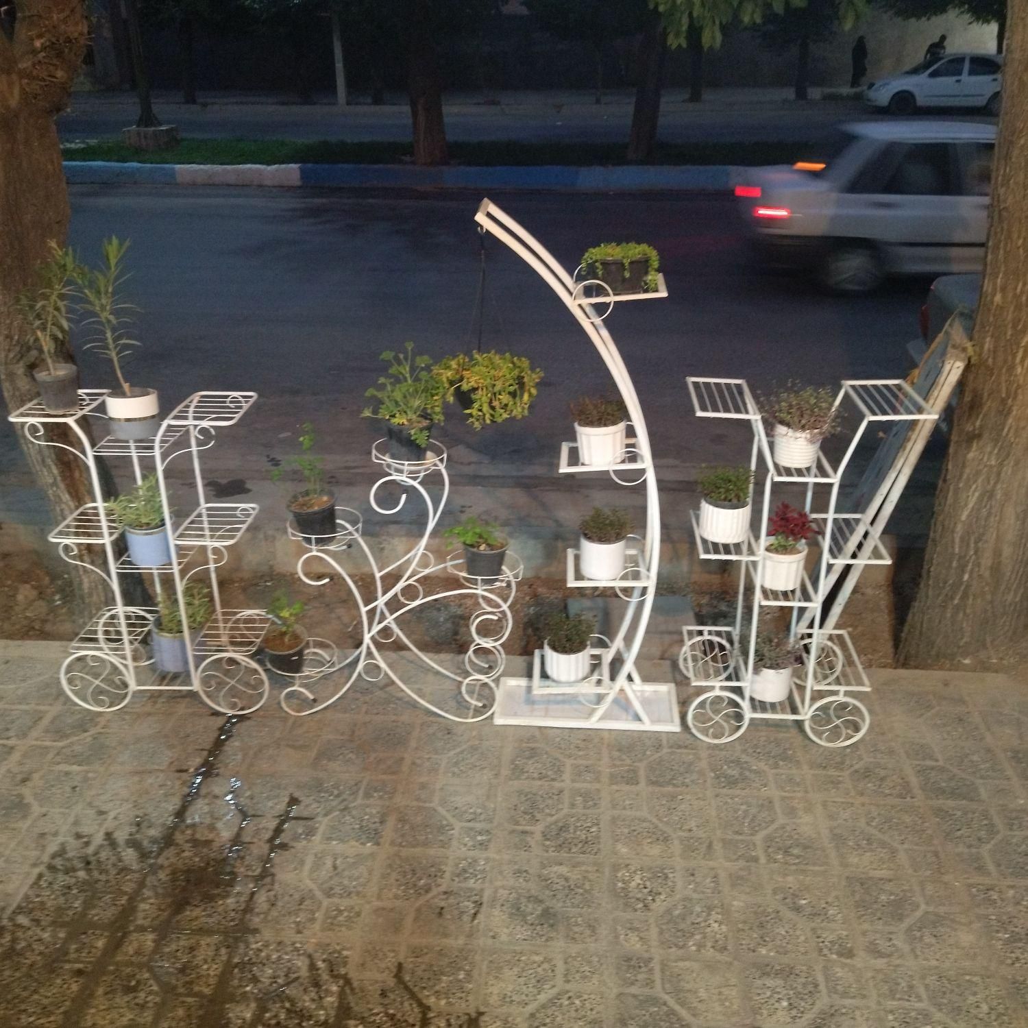 استند گل گلفروشی رز جاویدان|گل و گیاه طبیعی|بروجن, |دیوار