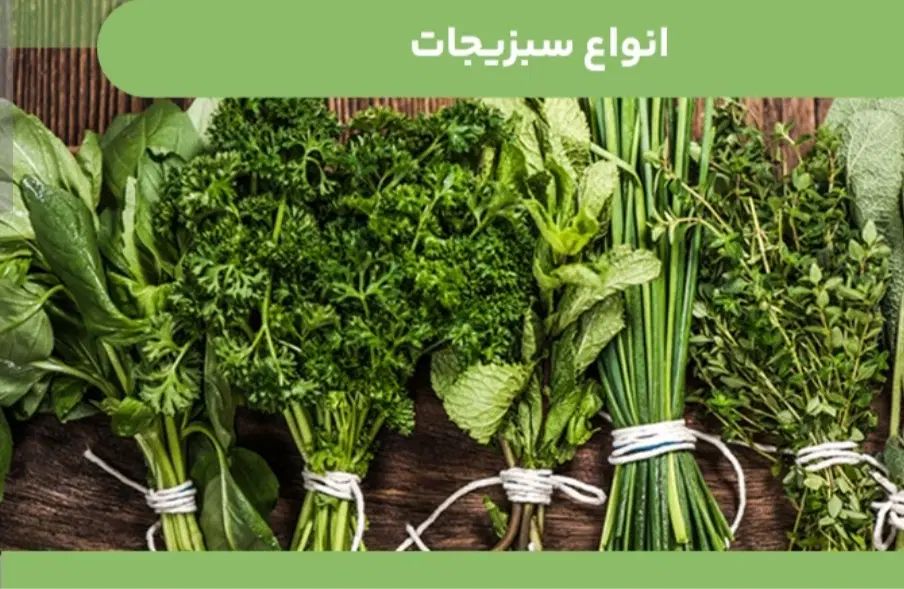 همکاری|استخدام بازاریابی و فروش|رشت, سعدی (تختی)|دیوار
