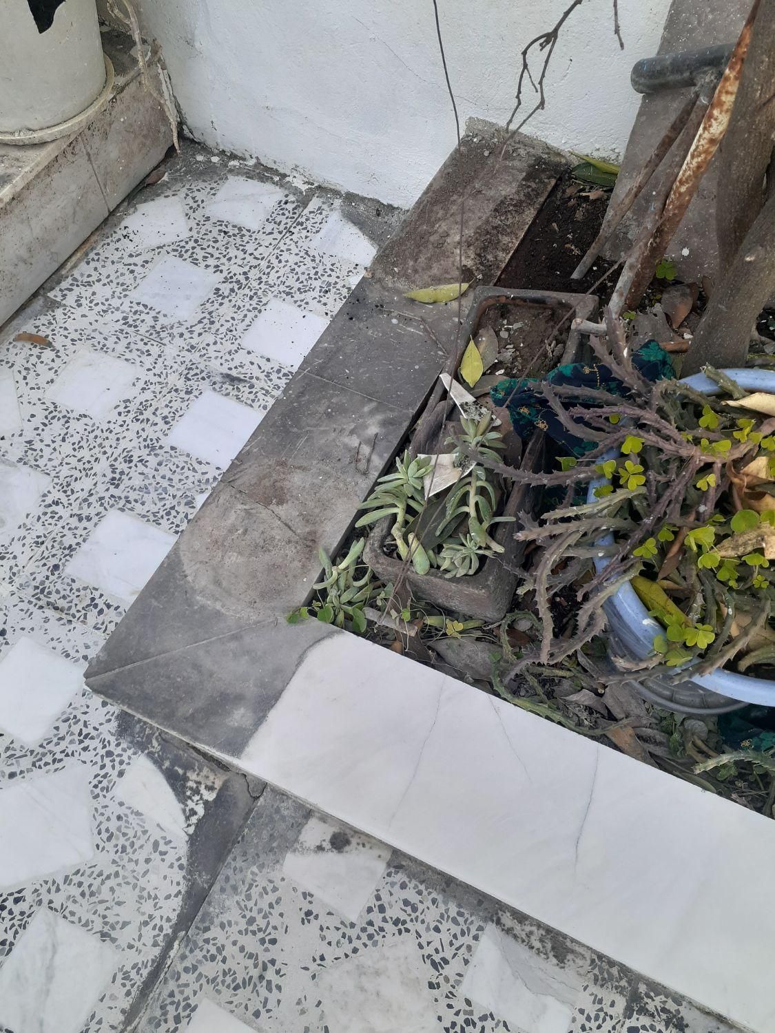 موزاییک سابی وسنگ سابی اسید شویی|خدمات نظافت|بندر انزلی, ساحل قو|دیوار