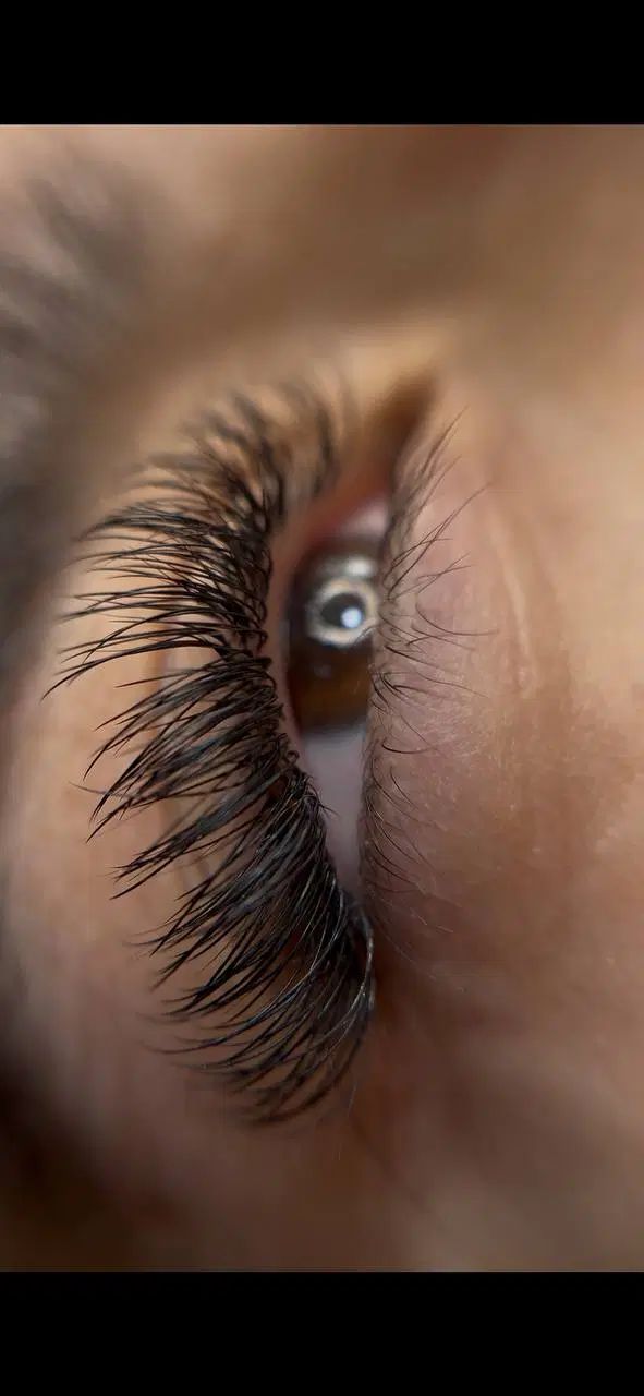 جشنواره اکستنشن مژه و لیفت ابرو و مژه|خدمات آرایشگری و زیبایی|تبریز, |دیوار
