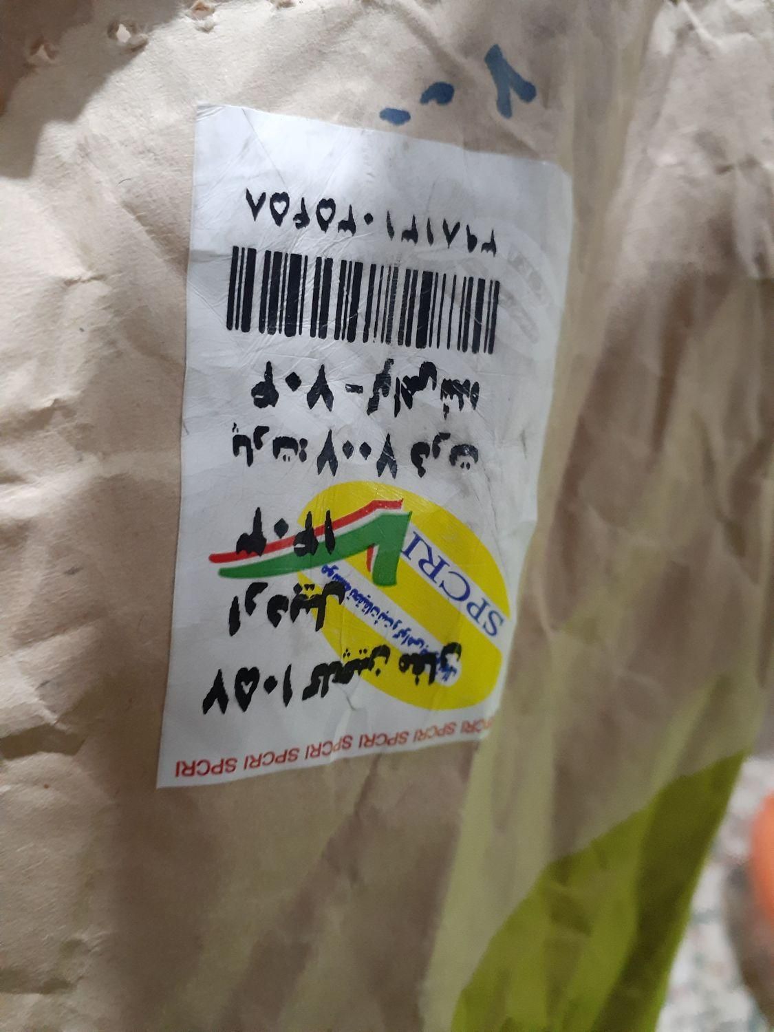 بذر ذرت ۷۰۴ دشت مغان تولید ۱۴۰۳|خدمات باغبانی و درختکاری|شهرکرد, |دیوار