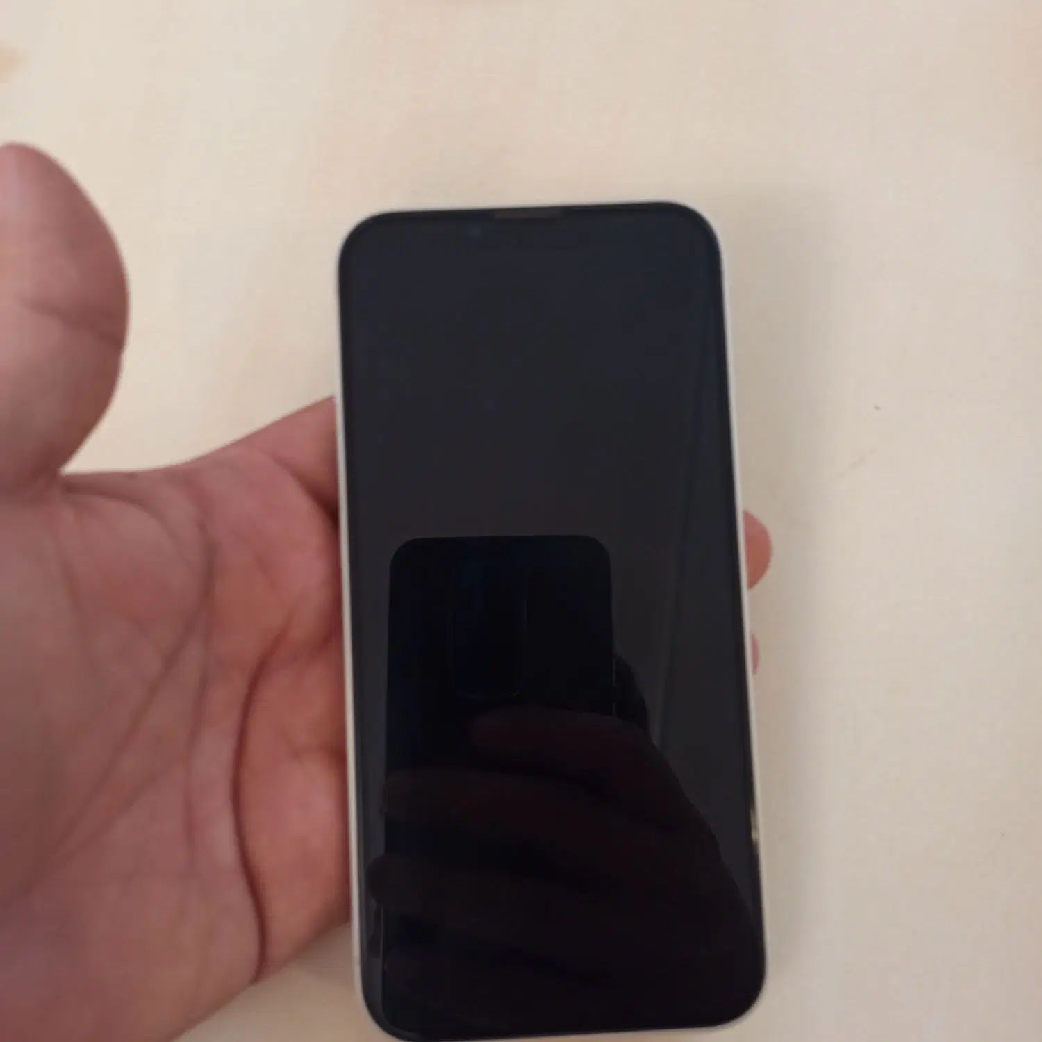 اپل iPhone 13 با حافظهٔ ۲۵۶ گیگابایت|موبایل|همدان, |دیوار
