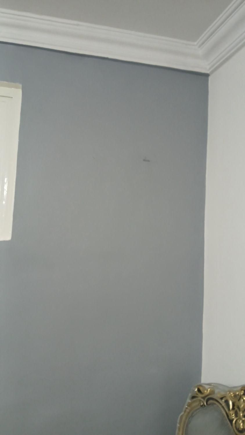 نقاشی ساختمان شبانه روزی در تمام نقاط کرج فردیس|خدمات پیشه و مهارت|کرج, شهرک بنفشه|دیوار