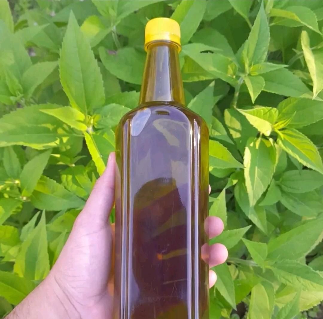 روغن زیتون بِکر و فرابکر طارم (تضمین خالصی)|خوردنی و آشامیدنی|رشت, فلسطین|دیوار