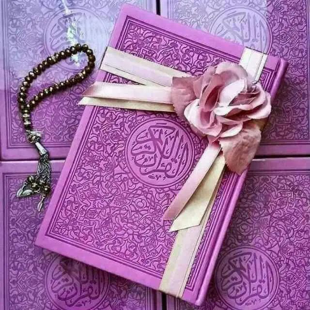ختم قرآن|خدمات پذیرایی، مراسم|مشهد, امام رضا (ع)|دیوار