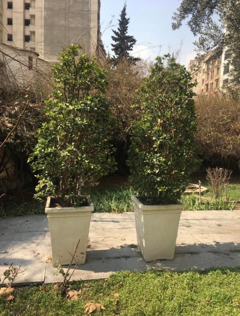 مشارکت، ۶۳۰ متر، متل قو (سلمان شهر) قشقایی|مشارکت در ساخت املاک|سلمان‌شهر, |دیوار