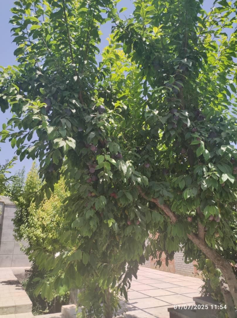 فروش زمین ۱۸۵۰ متری  مرق سند ششدانگ تک برگ|فروش زمین و ملک کلنگی|اصفهان, کوی راه حق|دیوار