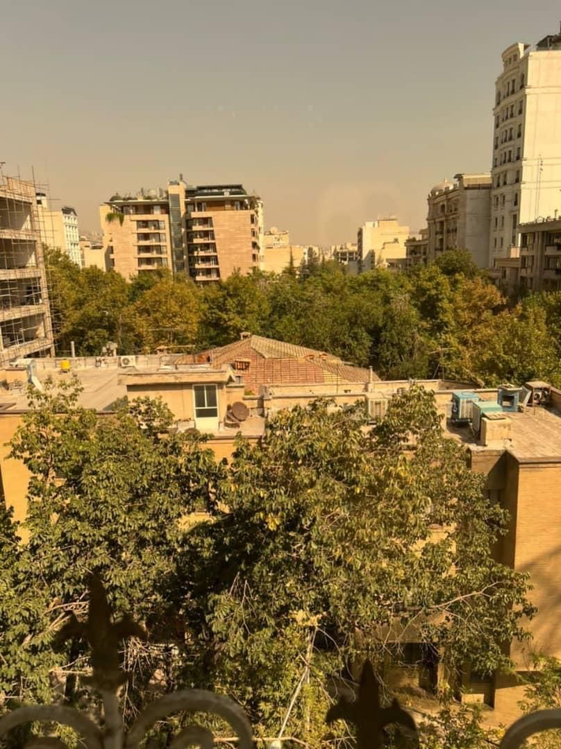 هدایت ۲۲۰متری ۳خواب/مشاعات آبی/۲ پارکینگ سندی|فروش آپارتمان|تهران, قلهک|دیوار