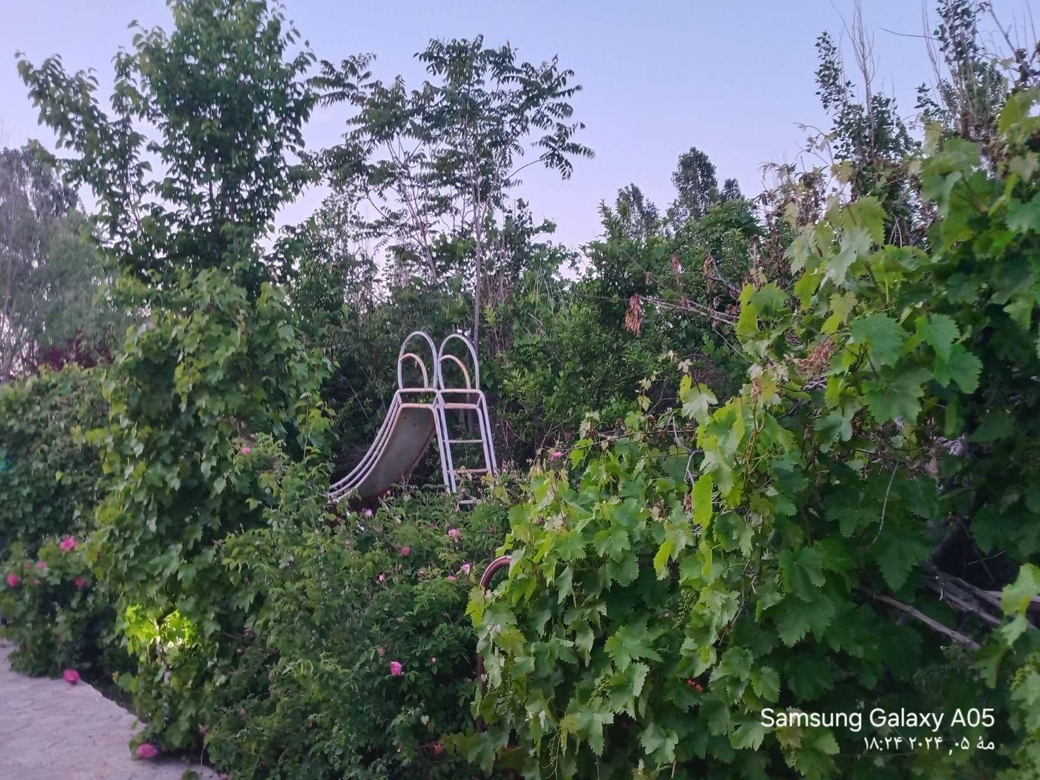 اجاره باغ ویلا شاهنامه ۳۶ استخر ابگرم  کودک‌ وبزرگ|اجارهٔ کوتاه‌مدت ویلا و باغ|مشهد, الهیه|دیوار