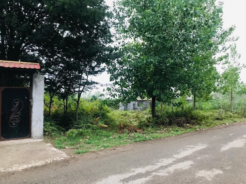 زمین مسکونی ۲۵۰ متری با پروانه ساخت /تهاتر/ معاوضه|فروش زمین و ملک کلنگی|رشت, سیا اسطلخ|دیوار