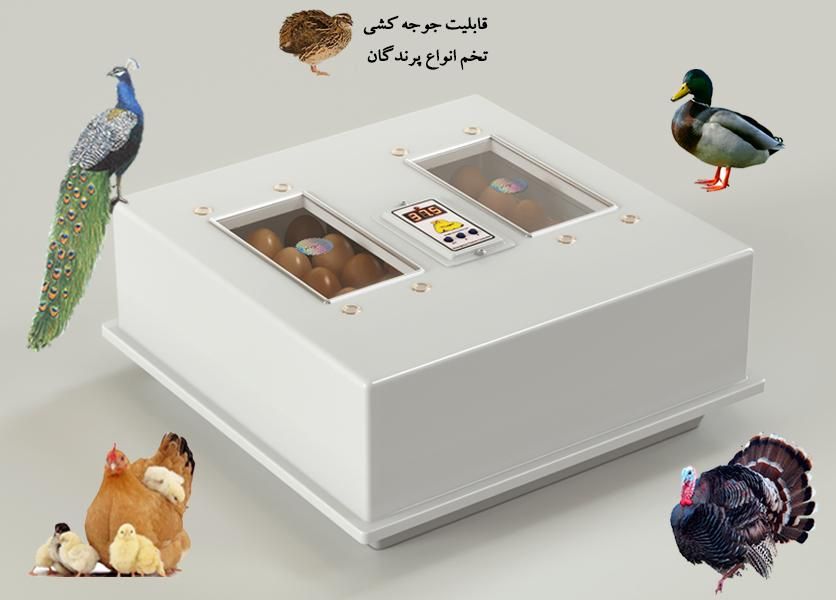دستگاه جوجه کشی دیجیتال کاکس ۴۲عددی|لوازم جانبی حیوانات|تهران, ایران|دیوار