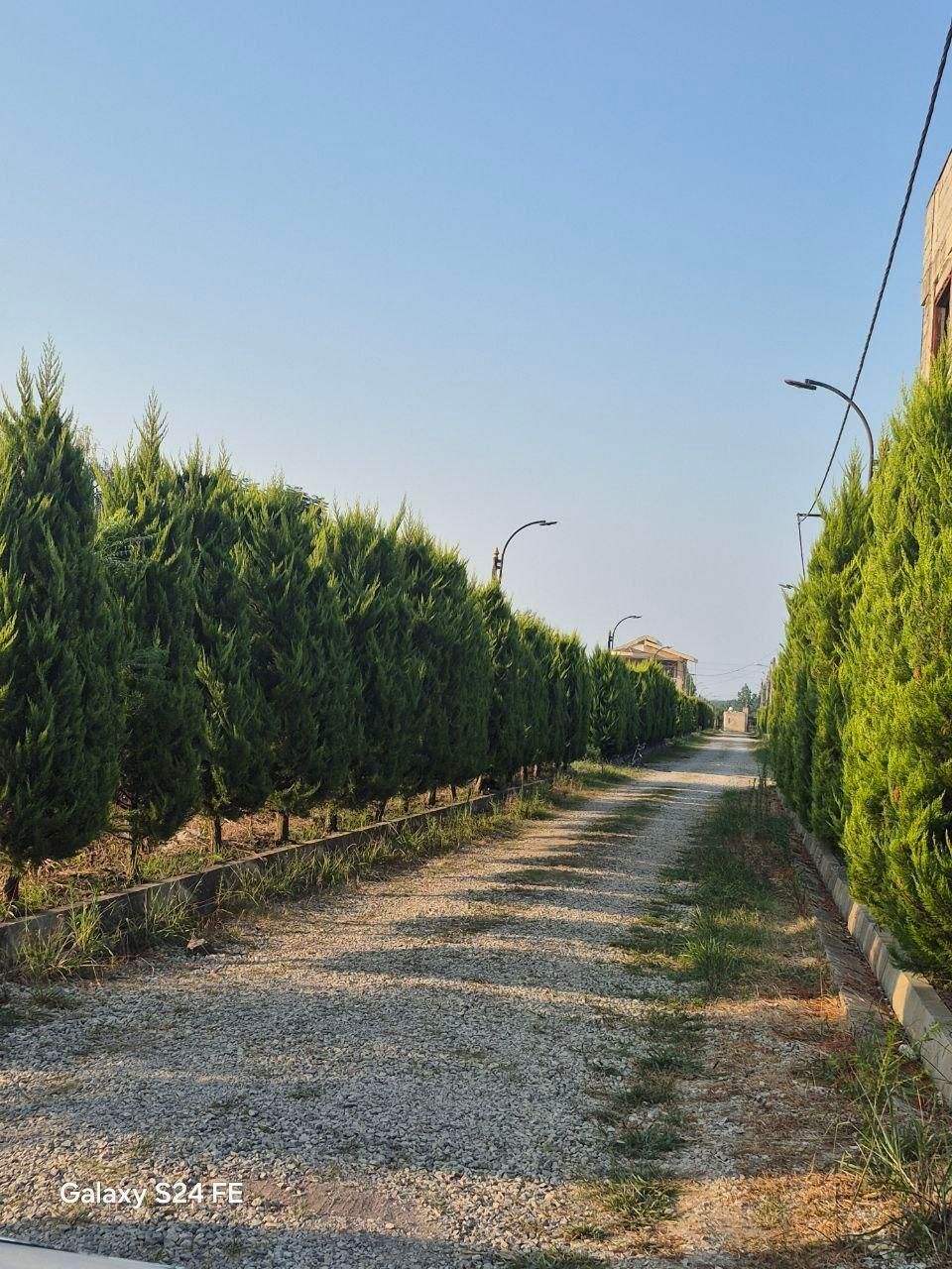 فروش زمین شهرکی|فروش زمین و ملک کلنگی|نشتارود, |دیوار