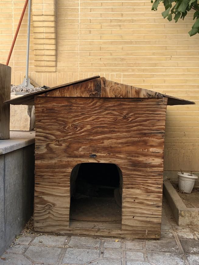 خانه خونه لانه لونه جای خواب سگ چوبی|لوازم جانبی حیوانات|اصفهان, باب الدشت|دیوار