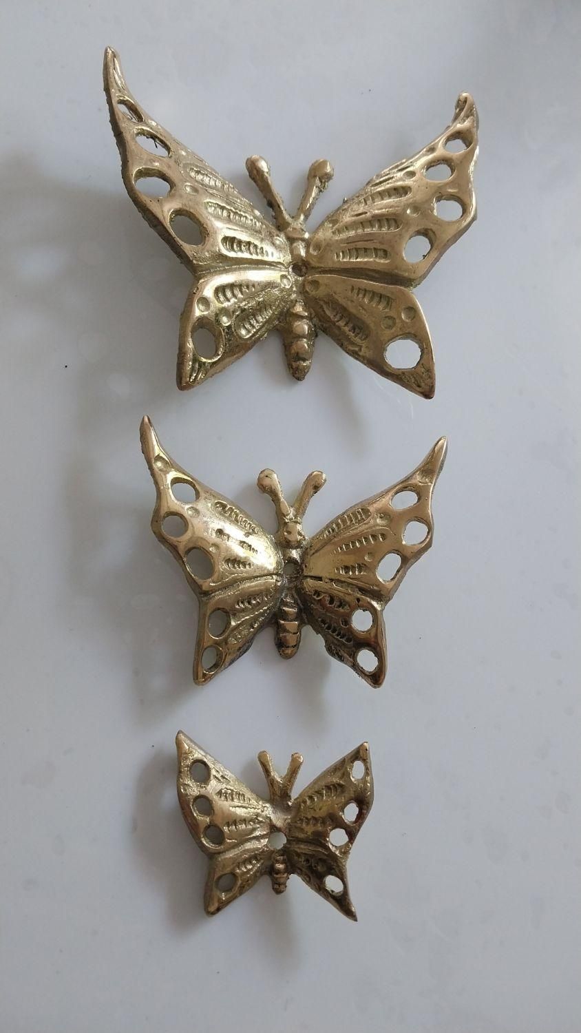 مجسمه پروانه برنجی|کلکسیون اشیاء عتیقه|لاهیجان, کوی زمانی|دیوار