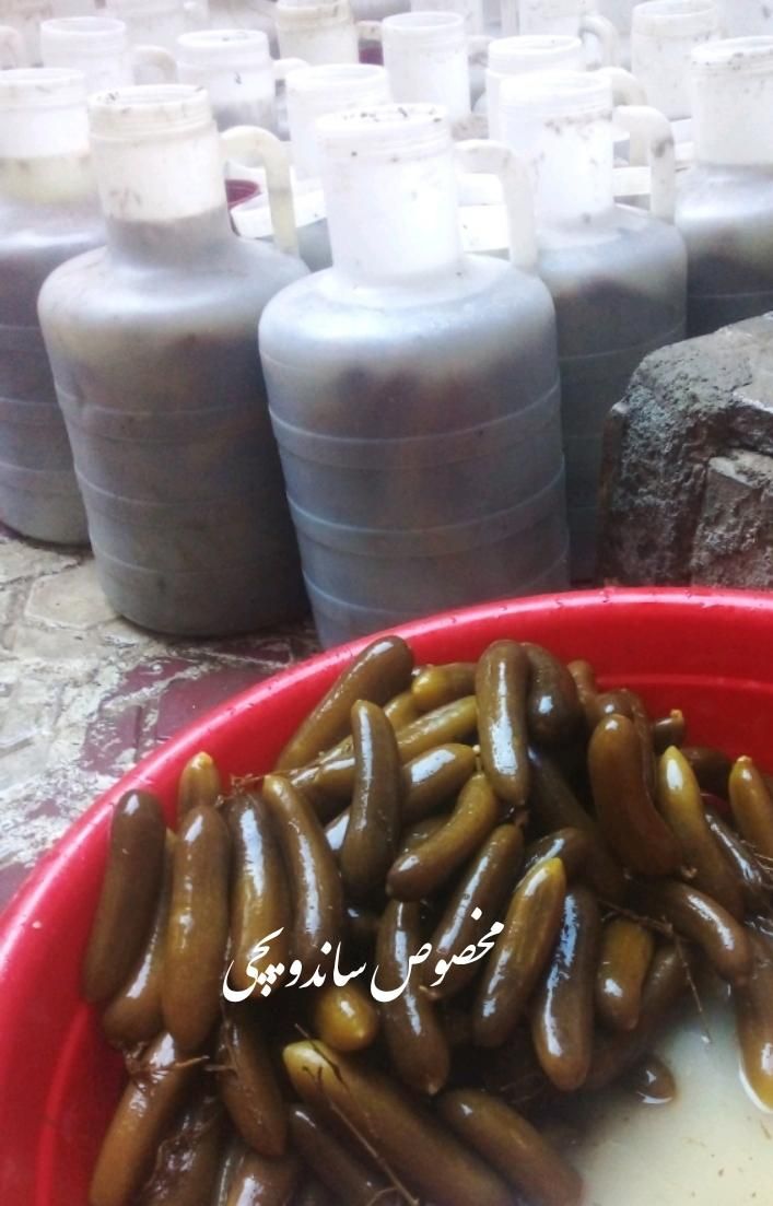 خیار شور ریز ویژه   ودبه ای مخصوص ساندویچی|خوردنی و آشامیدنی|سنندج, |دیوار