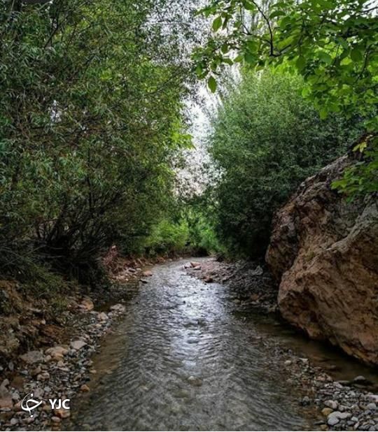 تور گروهی یکروزه دالان بهشت خراسان( امرودک زیبا)|تور و چارتر|مشهد, ده دی|دیوار