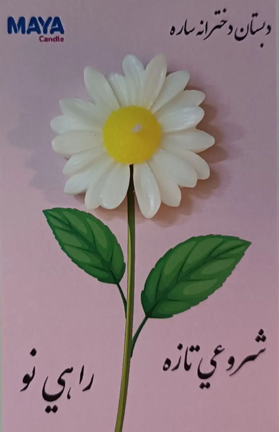 گیفت گل بابونه|صنایع دستی و سایر لوازم تزئینی|کرج, باغستان|دیوار
