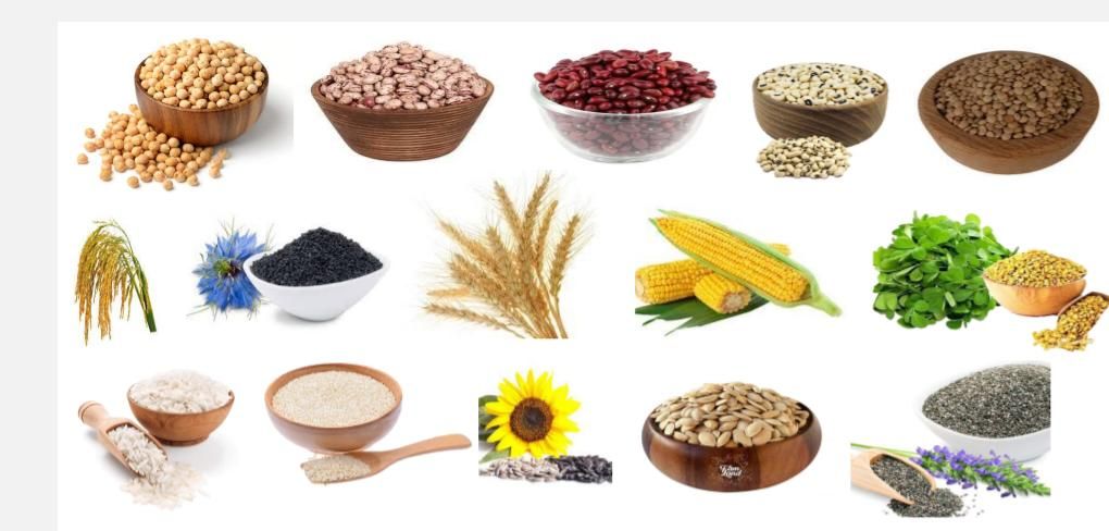 بوجاری غلات و حبوبات شهرک صنعتی سرآبتاوه|خدمات باغبانی و درختکاری|یاسوج, |دیوار