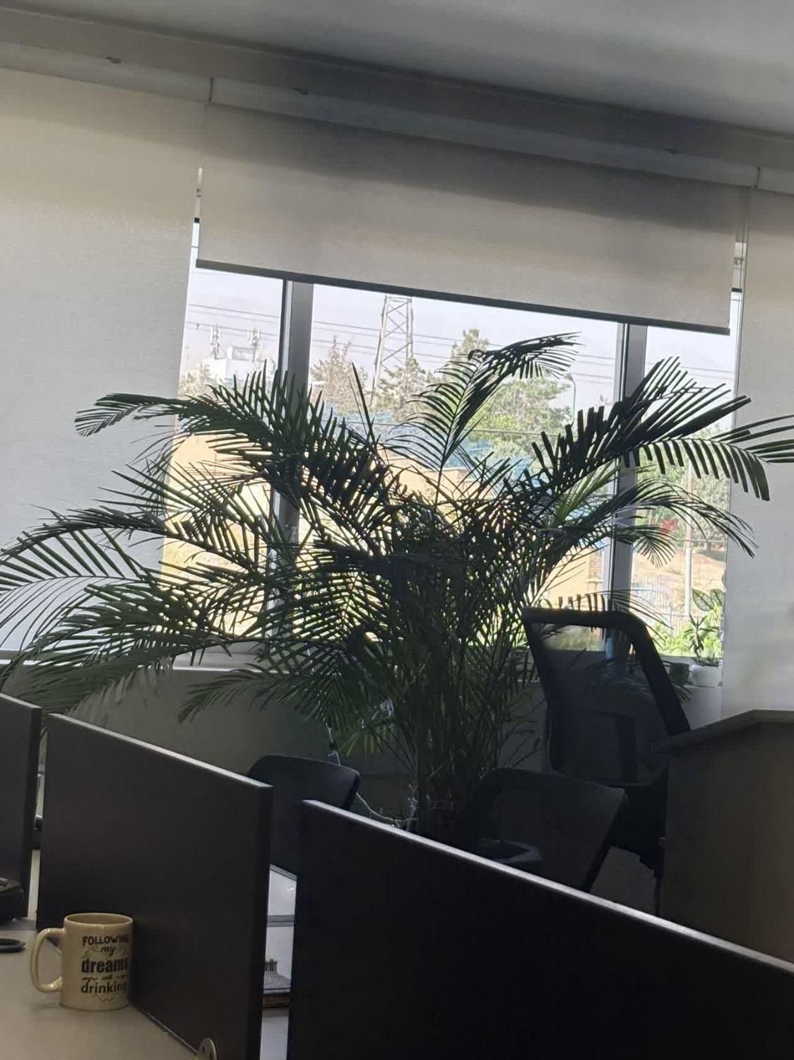 کارشناس فروش مشاور املاک جوان جسور پرتلاش|استخدام بازاریابی و فروش|تهران, پونک|دیوار