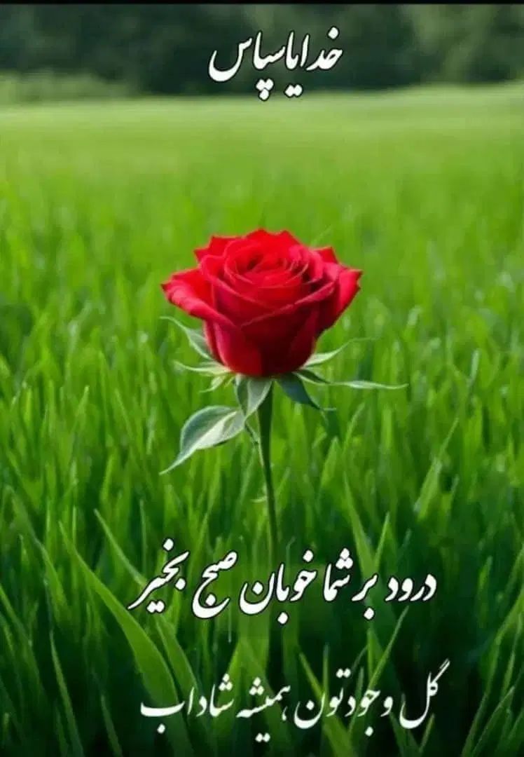 اجاره زمین کشاورزی برای کشت گندم کلزا وجو|اجارهٔ دفتر صنعتی، کشاورزی، تجاری|شوشتر, |دیوار
