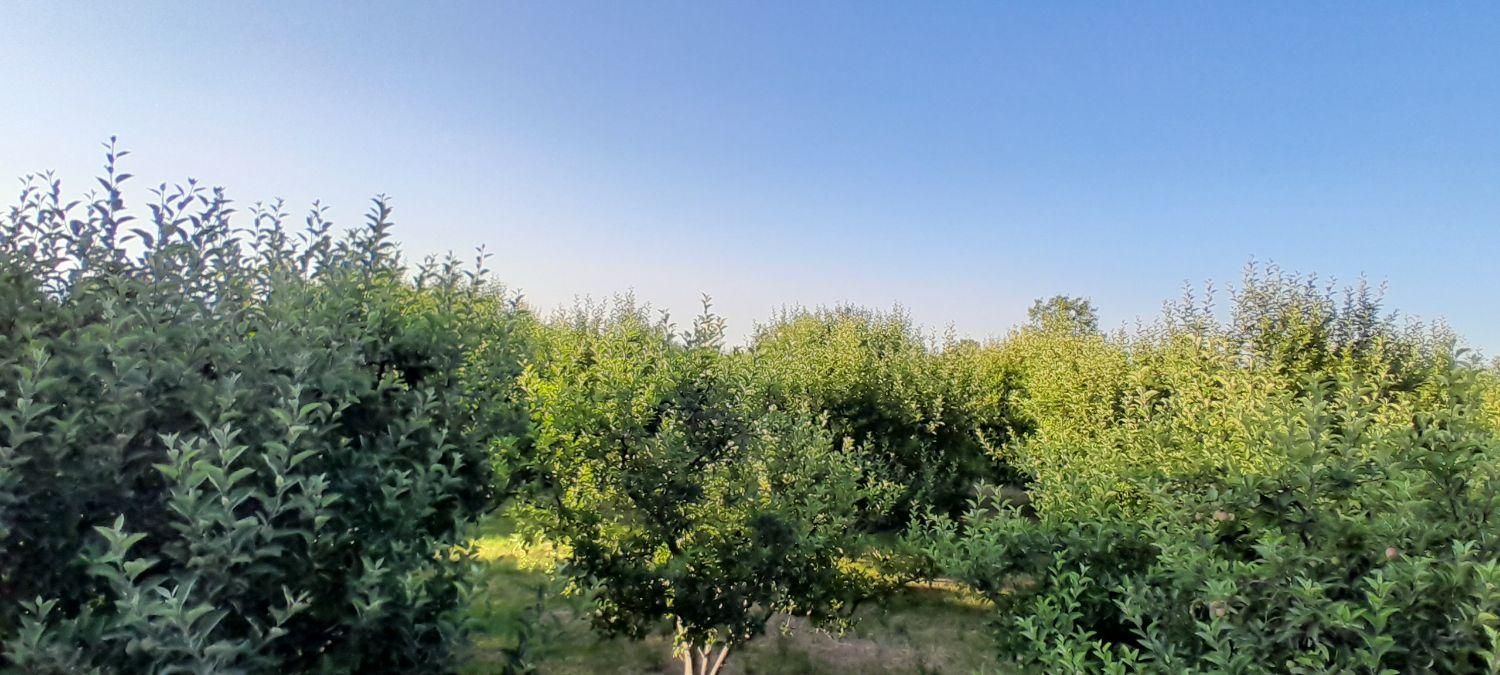 آب و هوای پاک در طبیعت بکر|فعالیت داوطلبانه|مشگین شهر, |دیوار