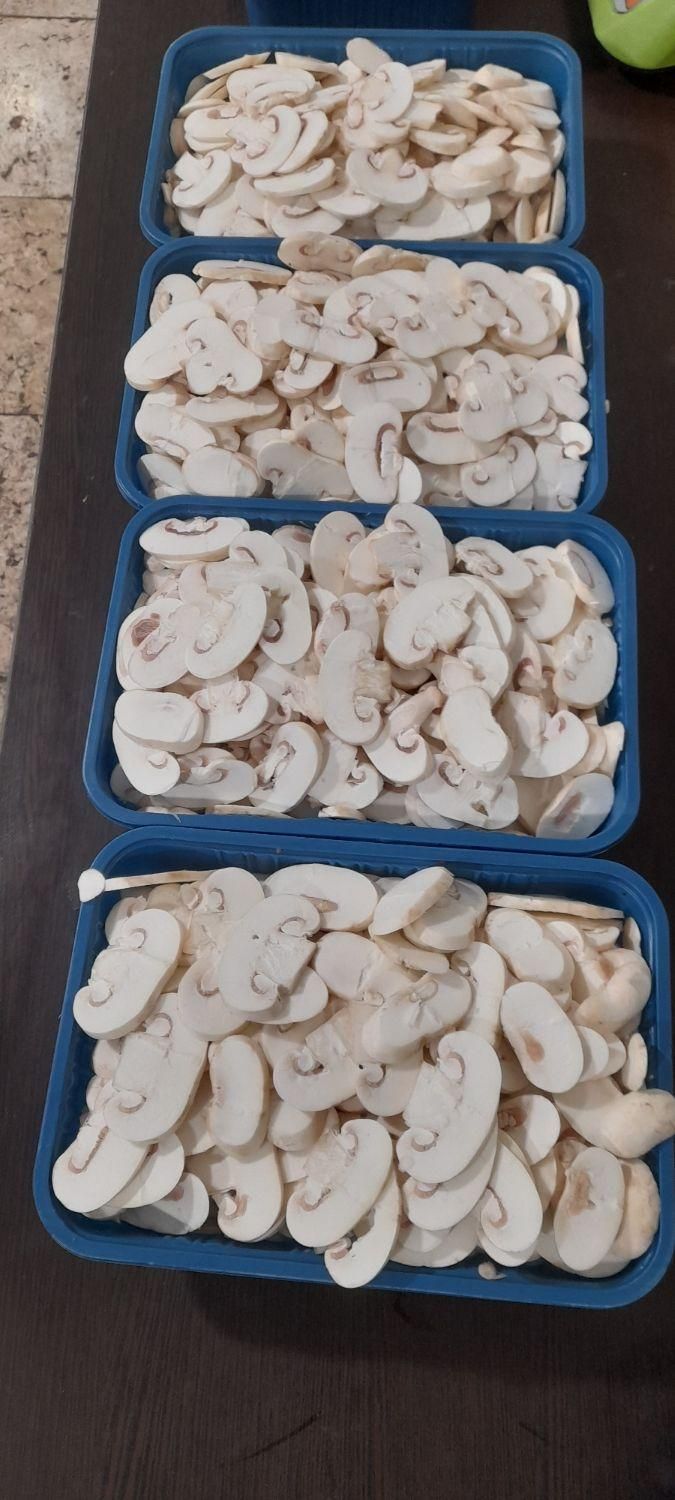قارچ اسلایس|خوردنی و آشامیدنی|تهران, قیطریه|دیوار